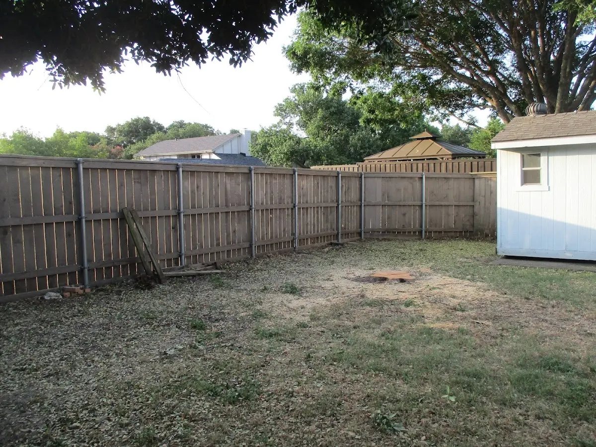 Cleared yard after professional tree removal in Still River